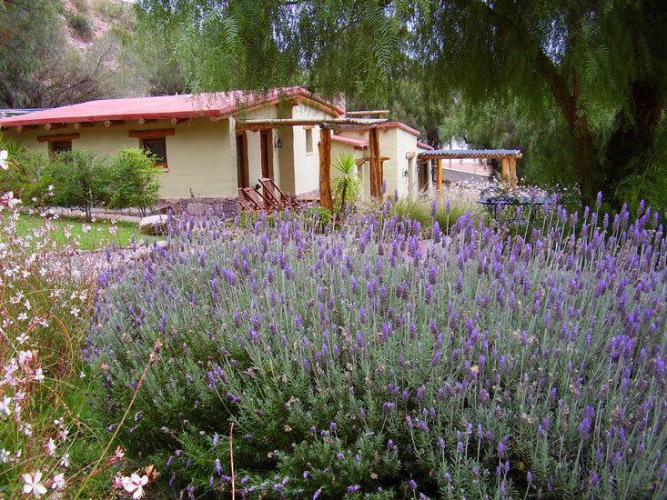Posada Don Juan Tilcara Εξωτερικό φωτογραφία